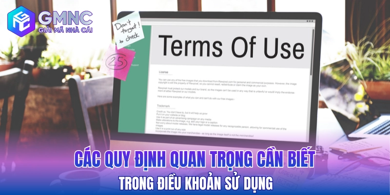 Các quy định quan trọng cần biết trong điều khoản sử dụng