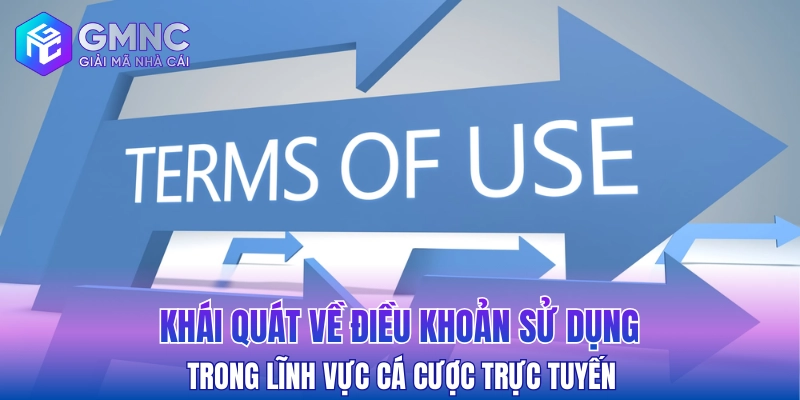 Khái quát về điều khoản sử dụng trong lĩnh vực cá cược trực tuyến