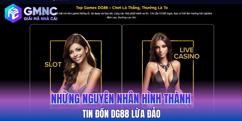Những nguyên nhân hình thành tin đồn DG88 lừa đảo