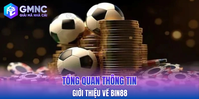Tổng quan thông tin giới thiệu về Bin88